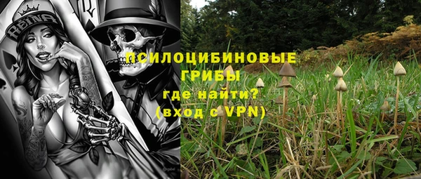 a pvp Верея