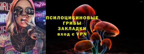 дмт Верхний Тагил