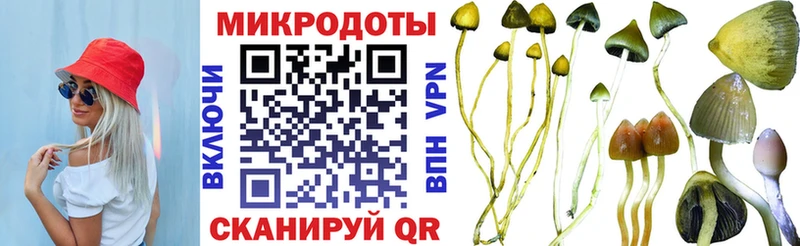 Псилоцибиновые грибы Cubensis  Купить где  Терек 