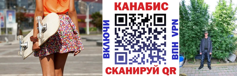 Купить где Терек Шишки марихуана семена